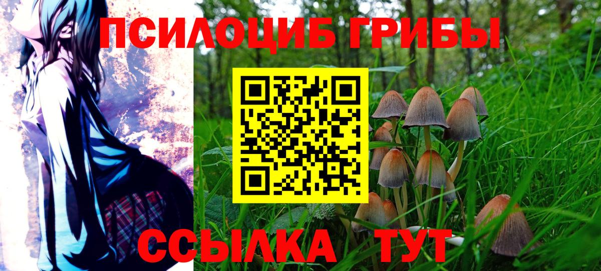 Галлюциногенные грибы MAGIC MUSHROOMS  Вход с VPN  купить   Мытищи  Псилоцибиновые грибы MAGIC MUSHROOMS 